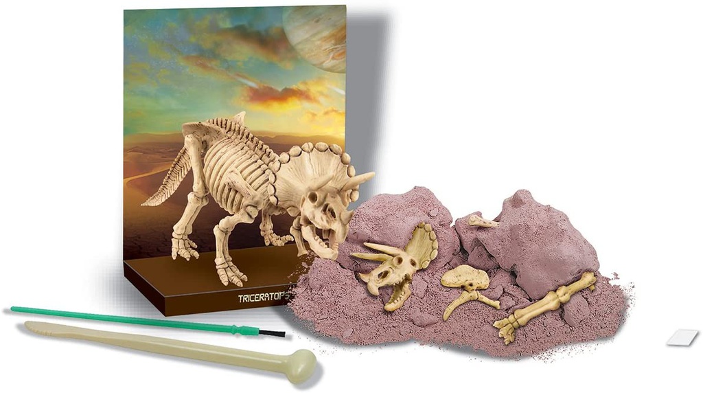 حفر ديناصور - ترايسيراتوبس