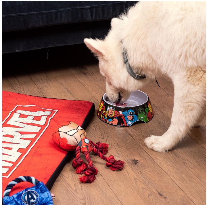 2800000361 DOGS BOWLS  S MARVEL