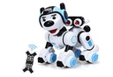 الروبورت الذكي-الكلب الذكي