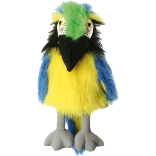 Baby Birds: Blue &amp; Gold Macaw