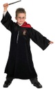 Robb Harry Potter Fancy Dress