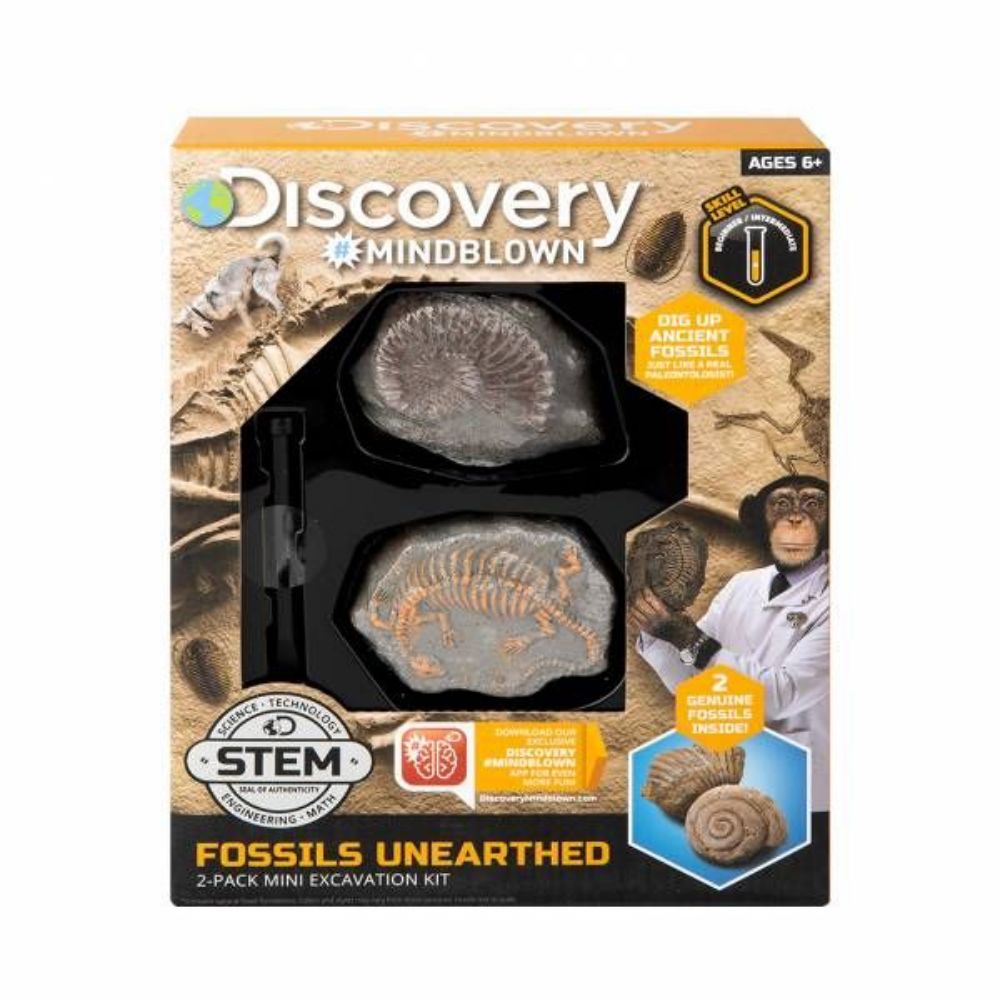 Discovery Mini Fossil 2 Pieces Digging Set
