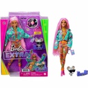 Barbie Extra - Pink Braids and DJ Mouse
