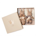 Doll set for the little ones in a beautiful decorative box