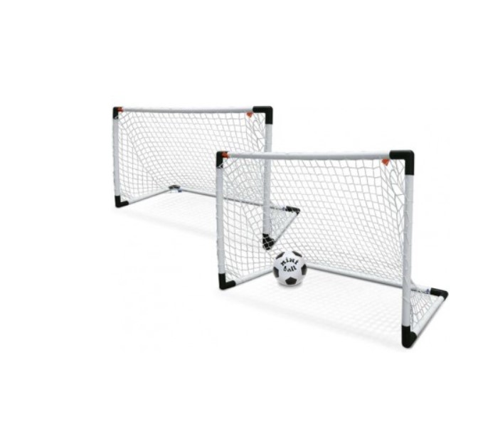2 in 1 goal post with ball