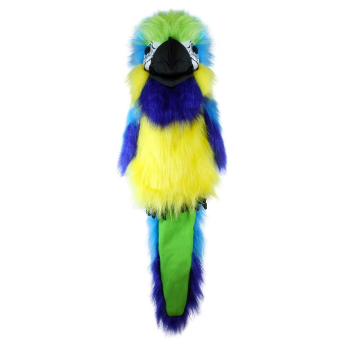Large Birds: Blue &amp; Gold Macaw