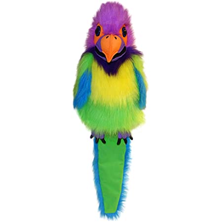 Large Birds: Plum-Headed Parakeet