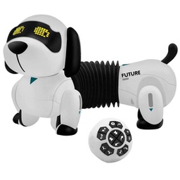 [BZ-K22] Robot dog with remote control