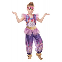 Fancy Dress - Shiny Shimmer and Shine Costume